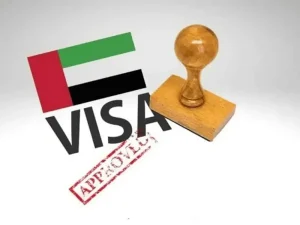 visa 2